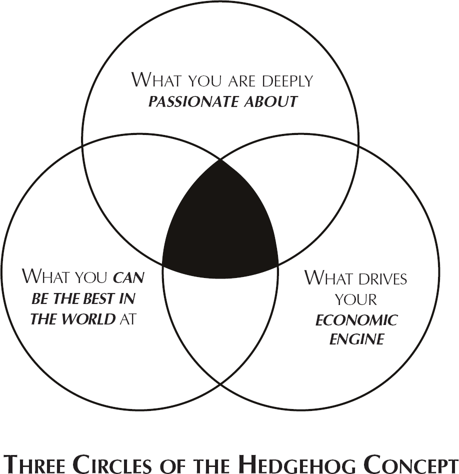 Hedghehog Concept from publicism.info